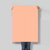 Fondale fotografico - Lov4019