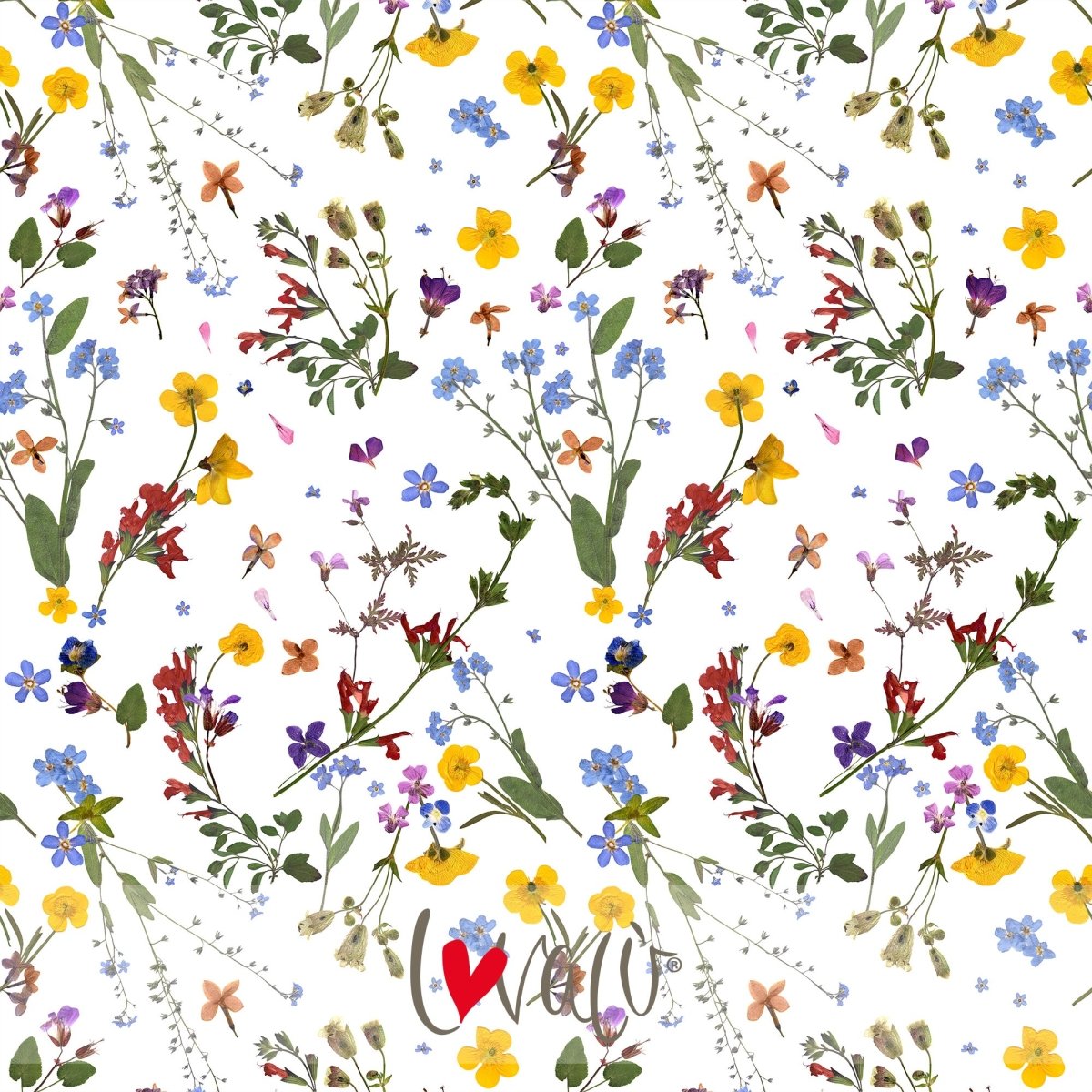 Dried Flowers Wallpaper - Herbolarium - Lovalù